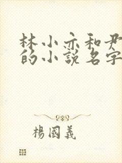 林小亦和尹司辰的小说名字