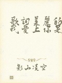 歌词美丽的云南我爱上你是什么歌