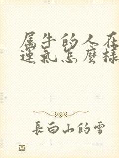 属牛的人在蛇年运气怎么样