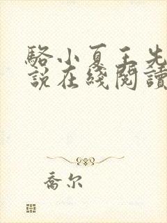 骆小夏王先生小说在线阅读