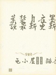 叶楚月夜墨寒小说最新更新封面