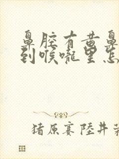 鼻腔有黄鼻涕流到喉咙里怎么办