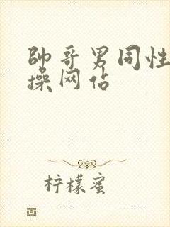 帅哥男同性恋互操网站