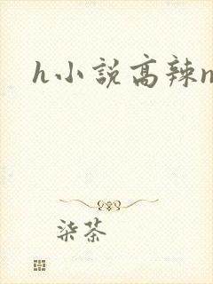 h小说高辣np