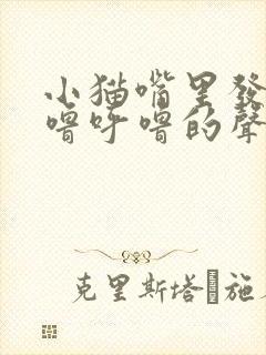 小猫嘴里发出呼噜呼噜的声音