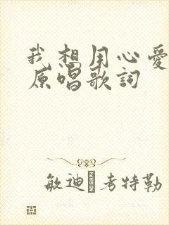 我想用心爱着你原唱歌词封面