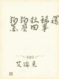 狗狗拉稀还吐是怎么回事