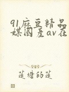 91麻豆精品传媒国产av在