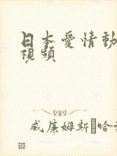 日本爱情动作片视频封面