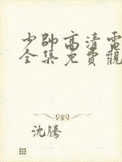 少帅高清电视剧全集免费观看