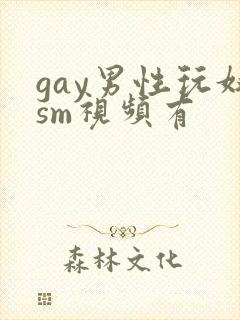 gay男性玩奴sm视频有