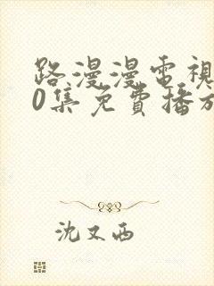 路漫漫电视剧40集免费播放