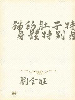 猫的肚子特别大 身体特别瘦