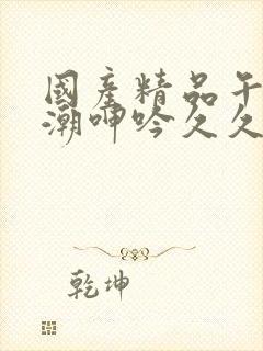 国产精品午夜高潮呻吟久久av