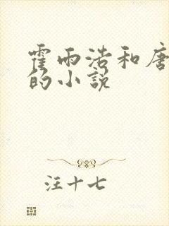 霍雨浩和唐舞桐的小说封面