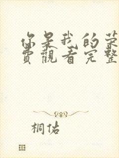 你是我的荣耀免费观看完整版高清