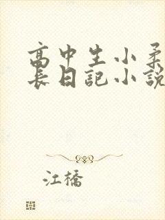 高中生小柔的成长日记小说