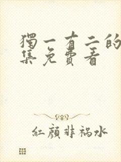 独一有二的她全集免费看