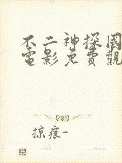 不二神探国语版电影免费观看封面