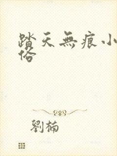 踏天无痕小说更俗