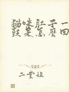 猫咪肚子一边很鼓是怎么回事