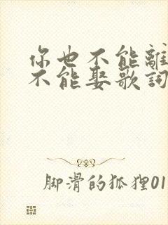 你也不能离我也不能娶歌词完整版