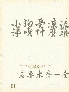 小狗受凉流清鼻涕吃什么药