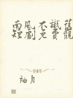 南风不识旧时人短剧免费观看全集封面