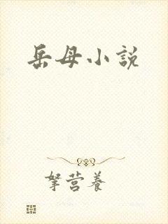 岳母小说