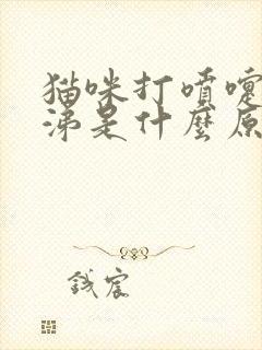 猫咪打喷嚏流鼻涕是什么原因