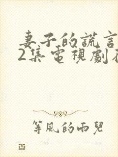 妻子的谎言第52集电视剧在线观看