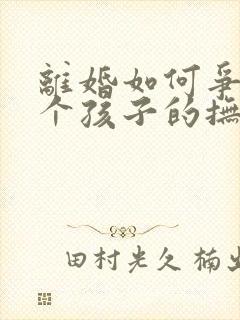 离婚如何争夺两个孩子的抚养权