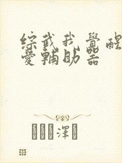 综武我觉醒了恋爱辅助器