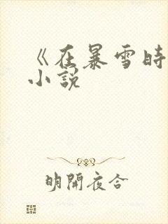 《在暴雪时分》小说