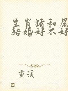 生肖猪和属鼠的结婚好不好