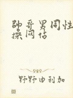 帅哥男同性恋互操网站