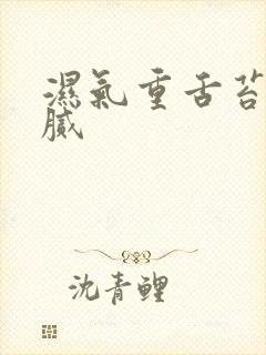 湿气重舌苔白厚腻