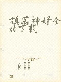 镇国神婿全本txt下载