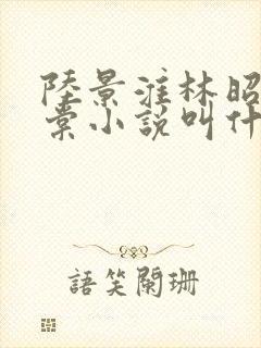 陆景淮林昭沈千棠小说叫什么名字封面