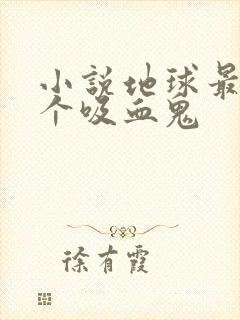 小说地球最后一个吸血鬼封面