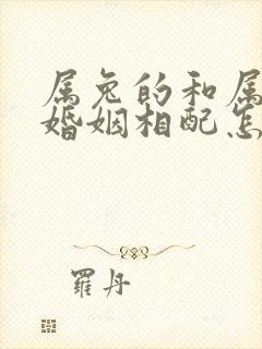 属兔的和属龙的婚姻相配怎么样