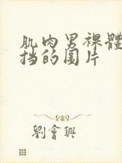 肌肉男裸体无遮挡的图片