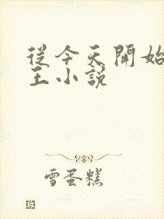 从今天开始做藩王小说