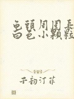 龟头周围长一圈白色小颗粒