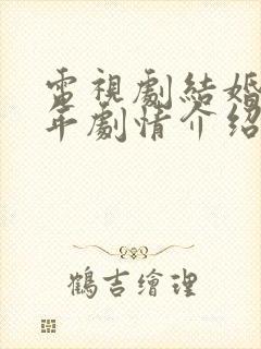 电视剧结婚30年剧情介绍封面