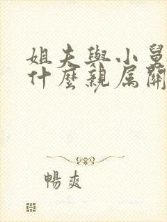 姐夫与小舅子是什么亲属关系