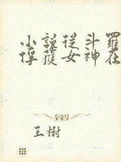 小说从斗罗开始俘获女神在线阅读