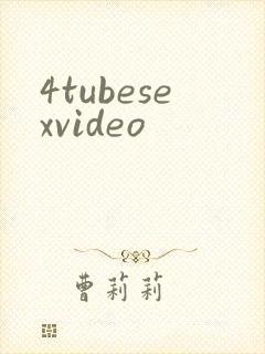 4tubesexvideo封面