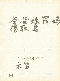 爸爸姓罗妈妈姓杨取名封面