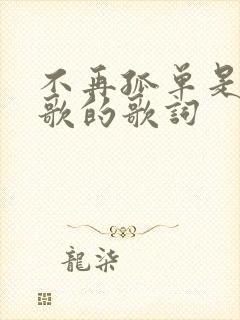 不再孤单是哪首歌的歌词